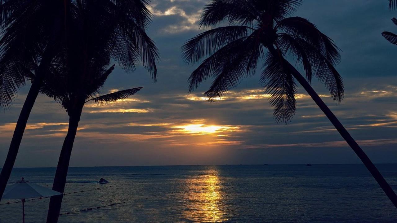 Anna Beach دونغ دونغ المظهر الخارجي الصورة
