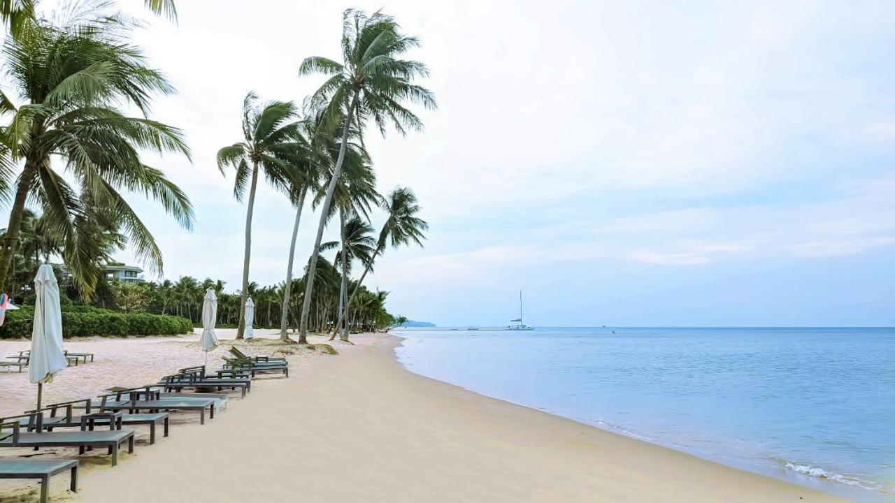 Anna Beach دونغ دونغ المظهر الخارجي الصورة