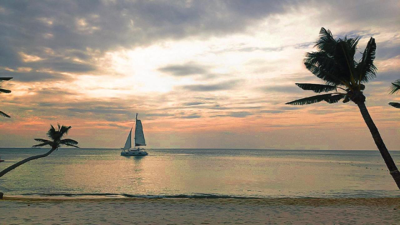 Anna Beach دونغ دونغ المظهر الخارجي الصورة
