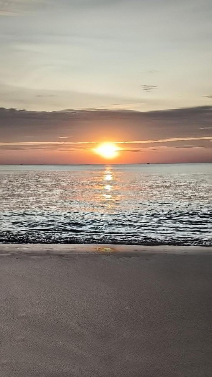 Anna Beach دونغ دونغ المظهر الخارجي الصورة