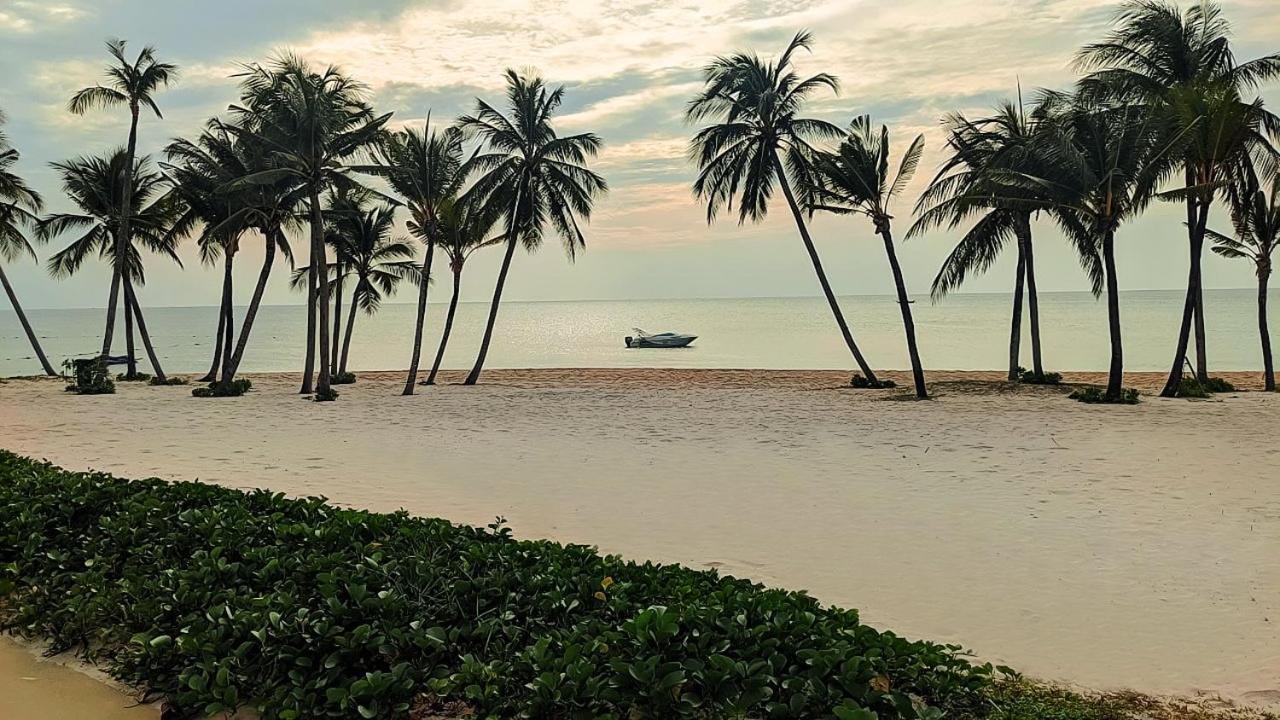 Anna Beach دونغ دونغ المظهر الخارجي الصورة